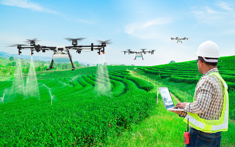 Pulverização Agrícola com Drone em Altamira